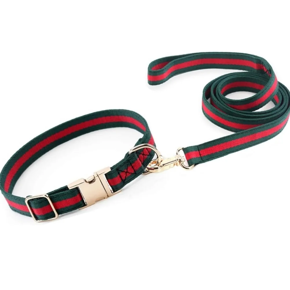 Last One! 2pcs Dog collar & leash Set